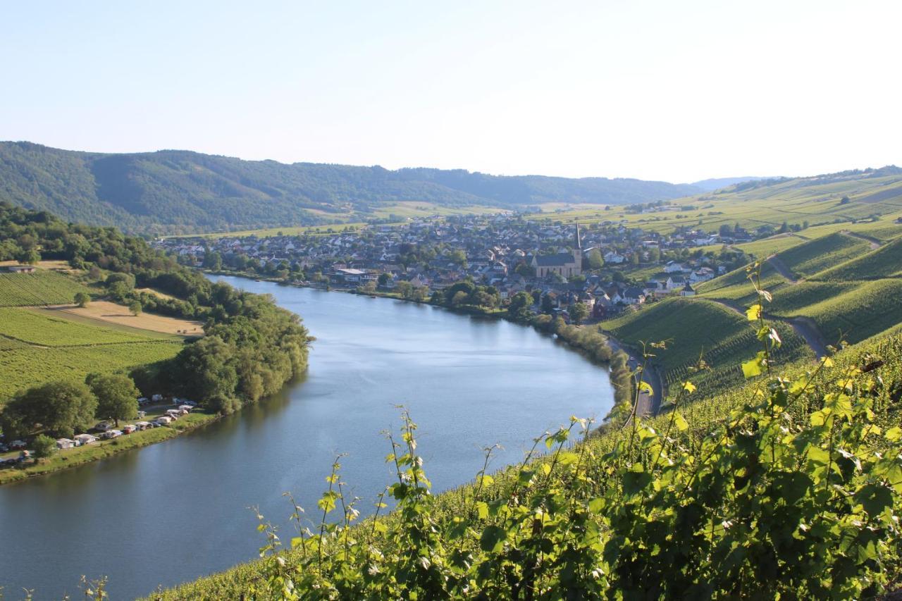 Weingut Markus Junglen Kröv Exterior foto